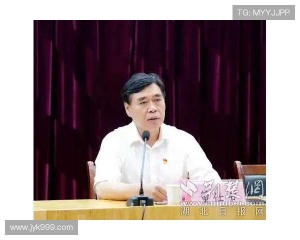 聚焦武汉排球队技战术提升与发展探讨之路