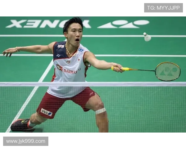 西安排球队在总决赛积分榜上以81分稳居第一名展现强劲实力