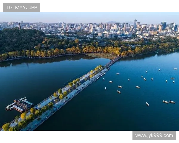 杭州乒乓球队速度之争引发热议球迷与专家观点碰撞激烈